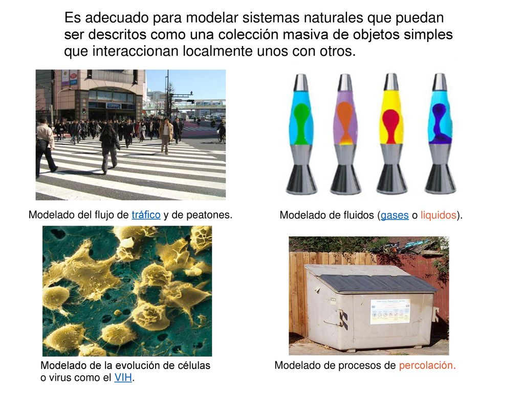 Es adecuado para modelar sistemas naturales que puedan ser descritos como una colección masiva de objetos simples que interaccionan localmente unos con otros.