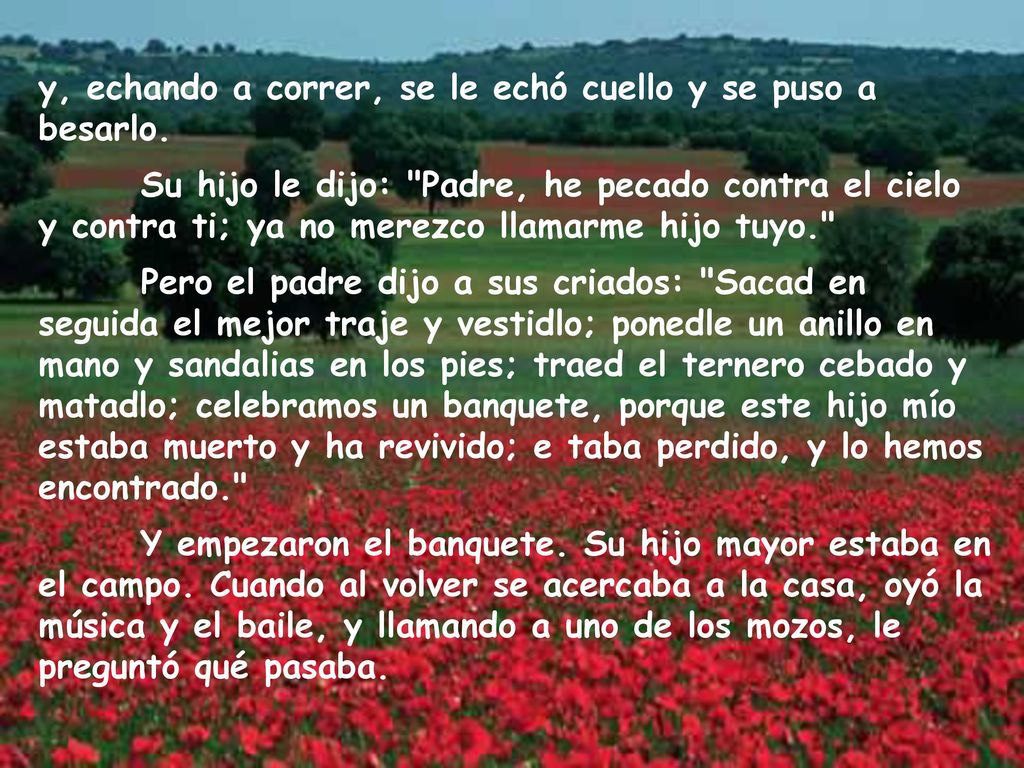 y, echando a correr, se le echó cuello y se puso a besarlo.