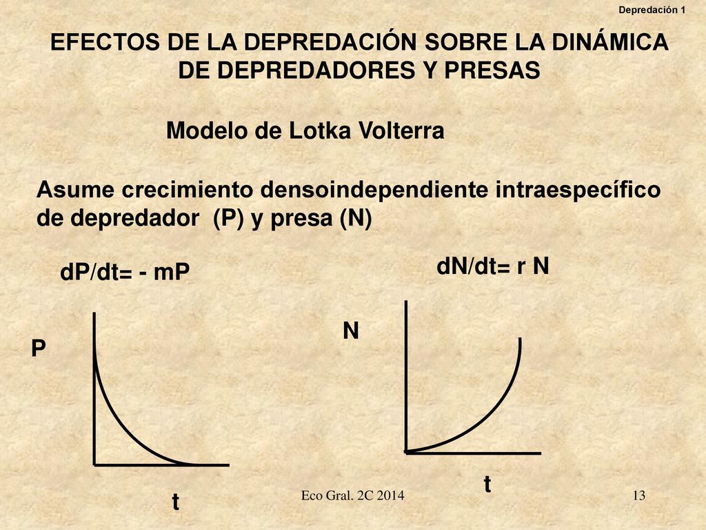 EFECTOS DE LA DEPREDACIÓN SOBRE LA DINÁMICA DE DEPREDADORES Y PRESAS