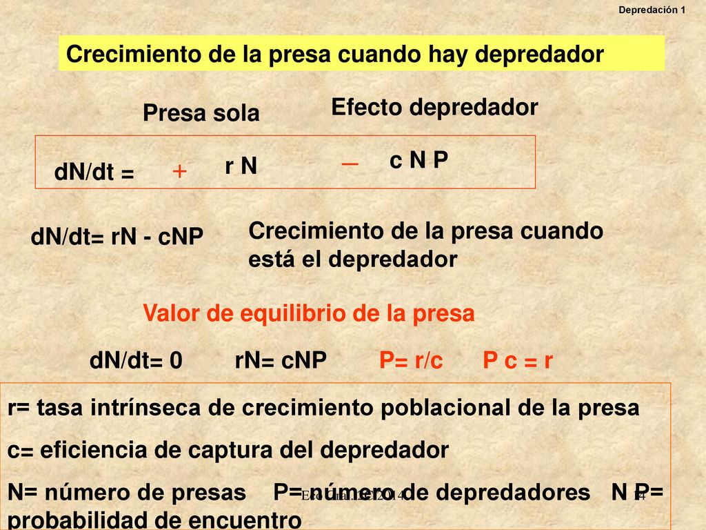 _ + Crecimiento de la presa cuando hay depredador Efecto depredador