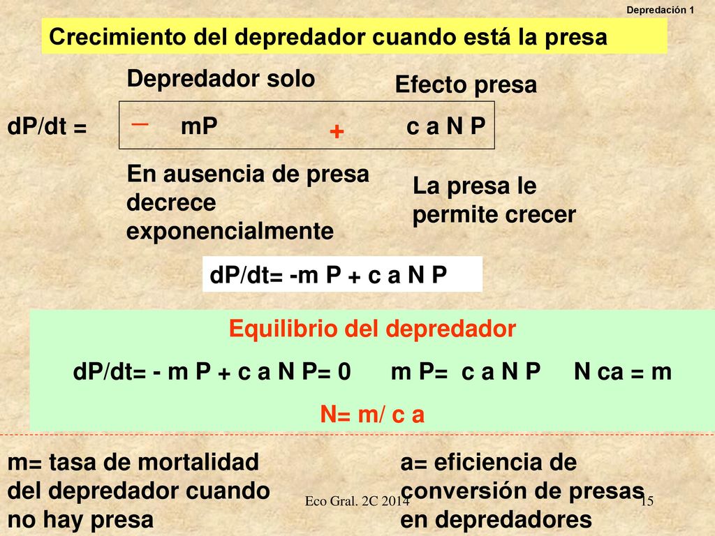 _ + Crecimiento del depredador cuando está la presa Depredador solo