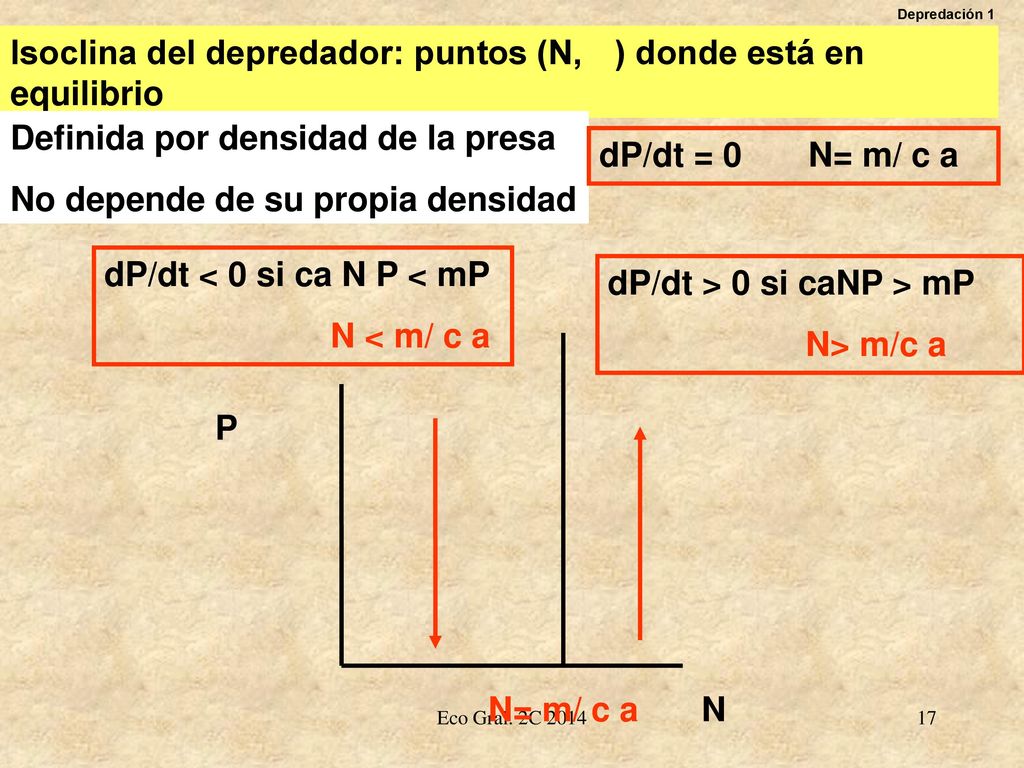 Isoclina del depredador: puntos (N, P) donde está en equilibrio P