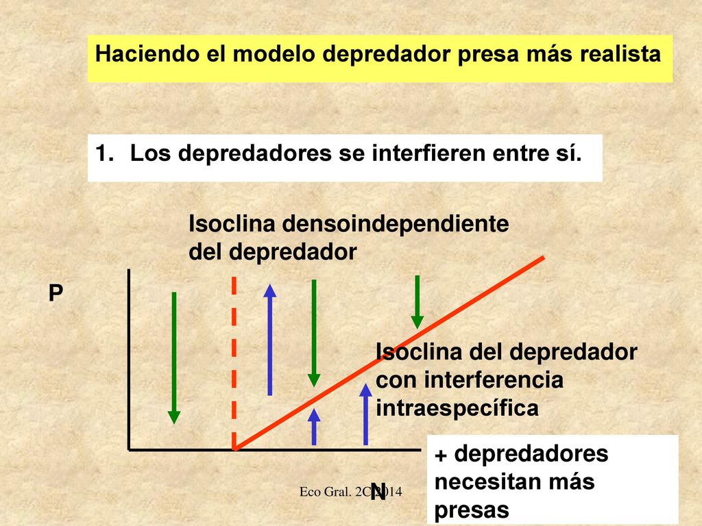 Haciendo el modelo depredador presa más realista
