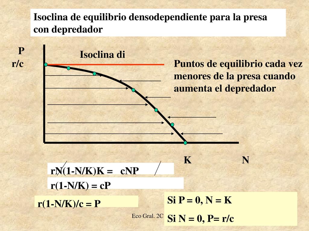 Isoclina de equilibrio densodependiente para la presa con depredador