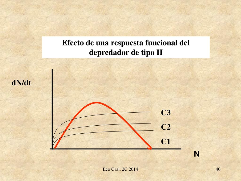 Efecto de una respuesta funcional del depredador de tipo II