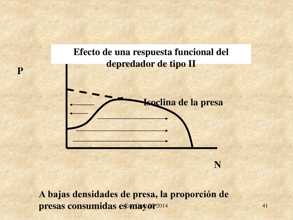 Efecto de una respuesta funcional del depredador de tipo II