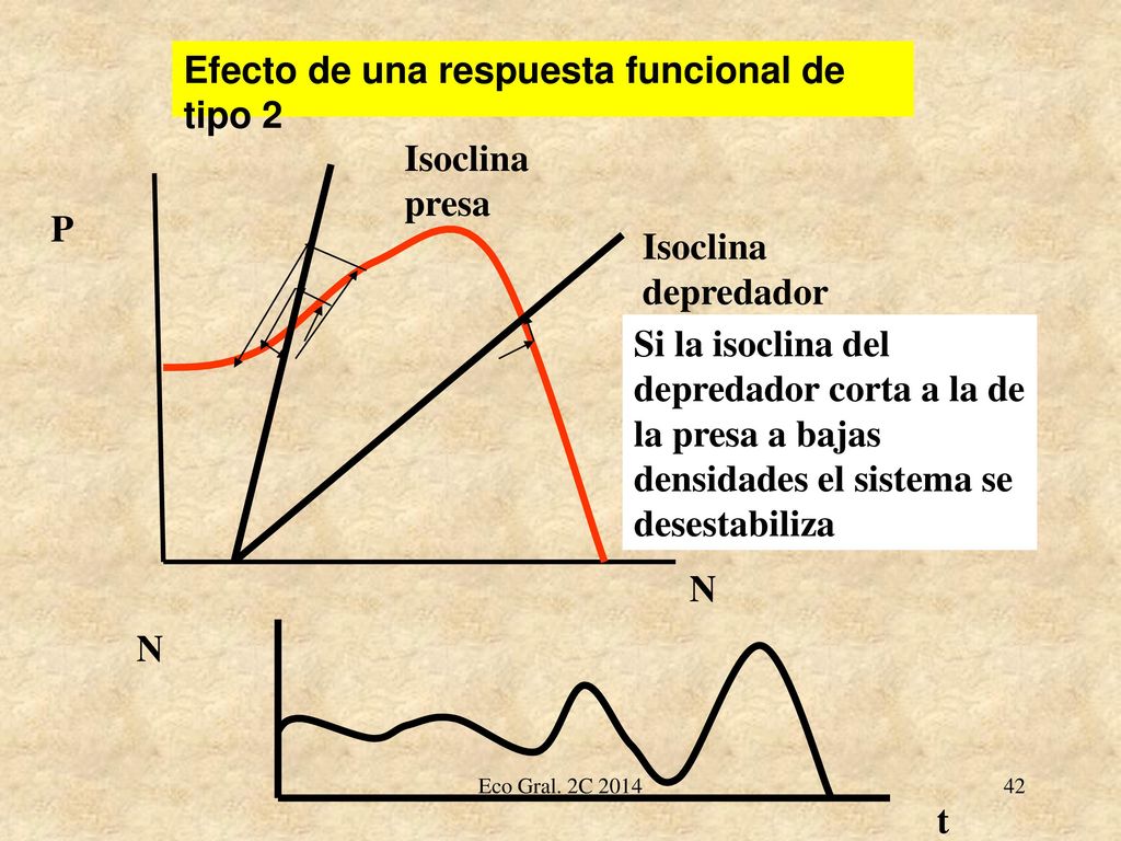Efecto de una respuesta funcional de tipo 2
