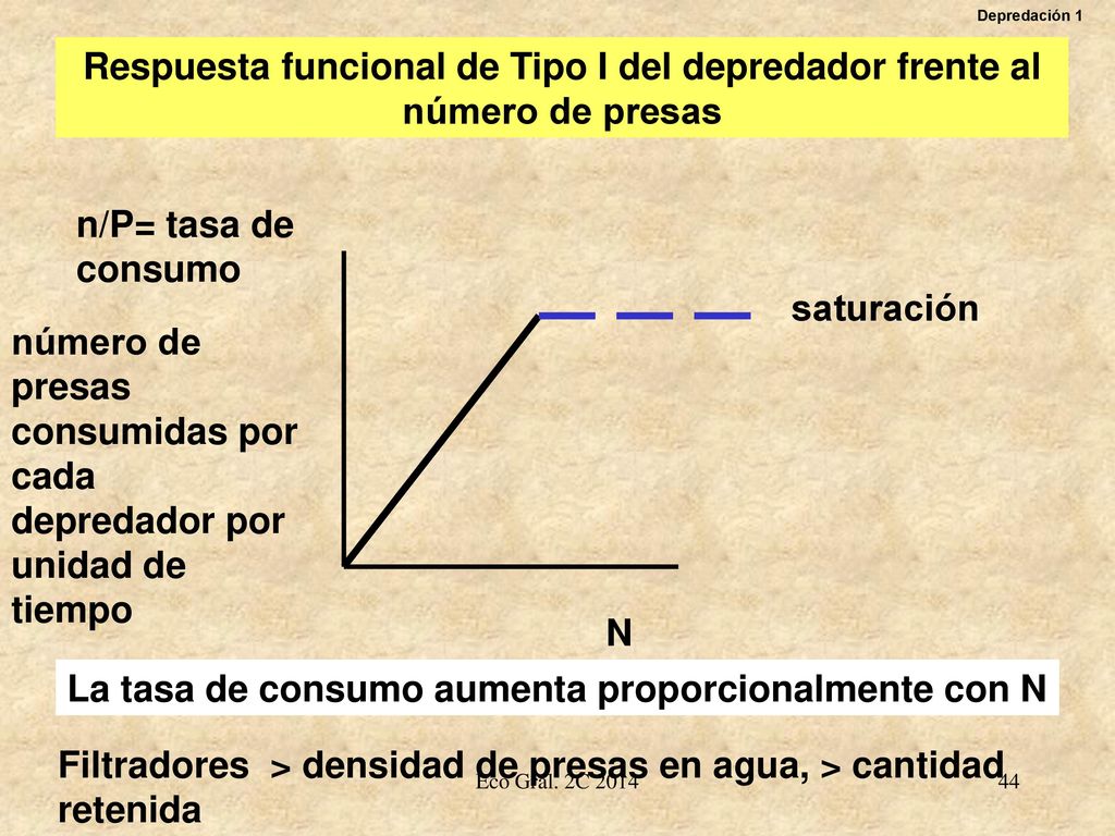 número de presas consumidas por cada depredador por unidad de tiempo