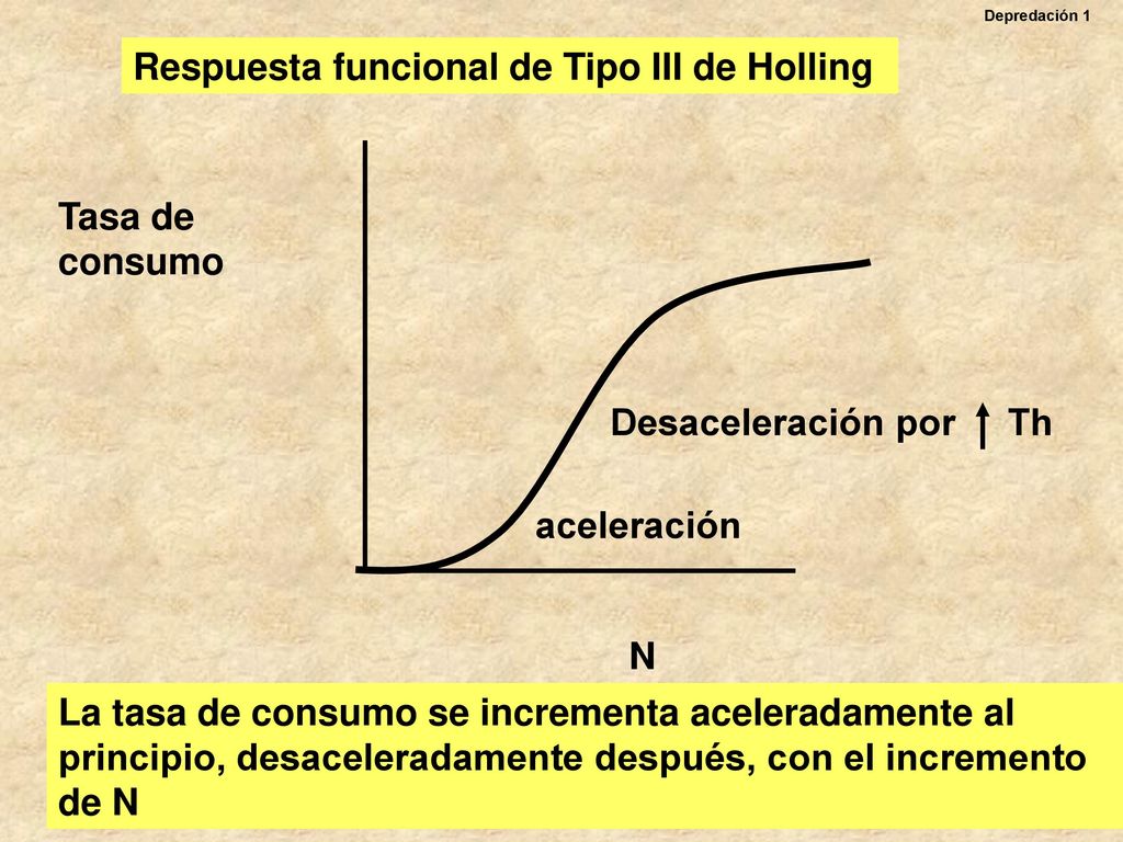 Respuesta funcional de Tipo III de Holling