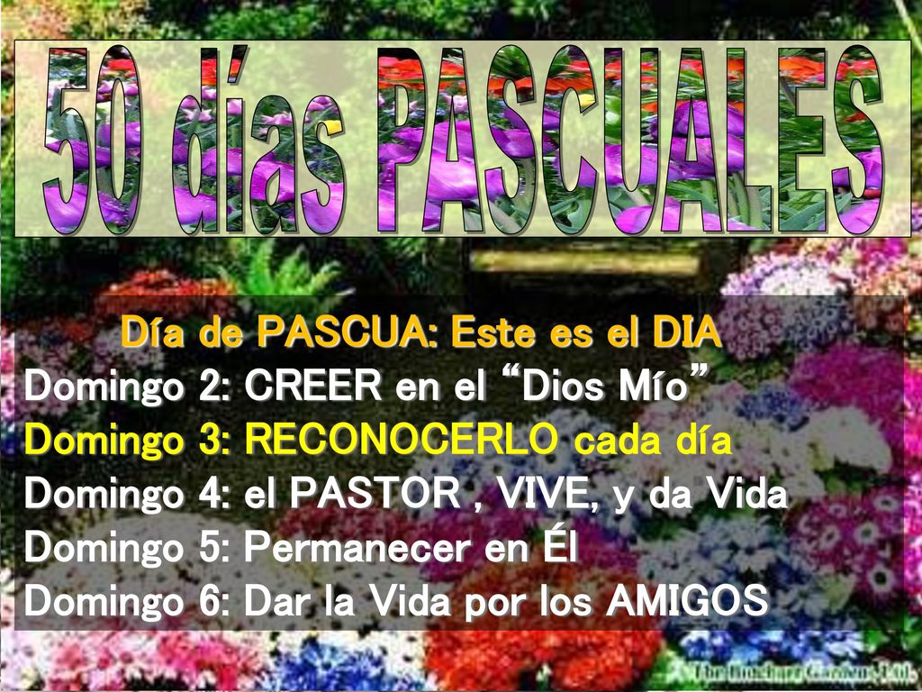 50 días PASCUALES Día de PASCUA: Este es el DIA