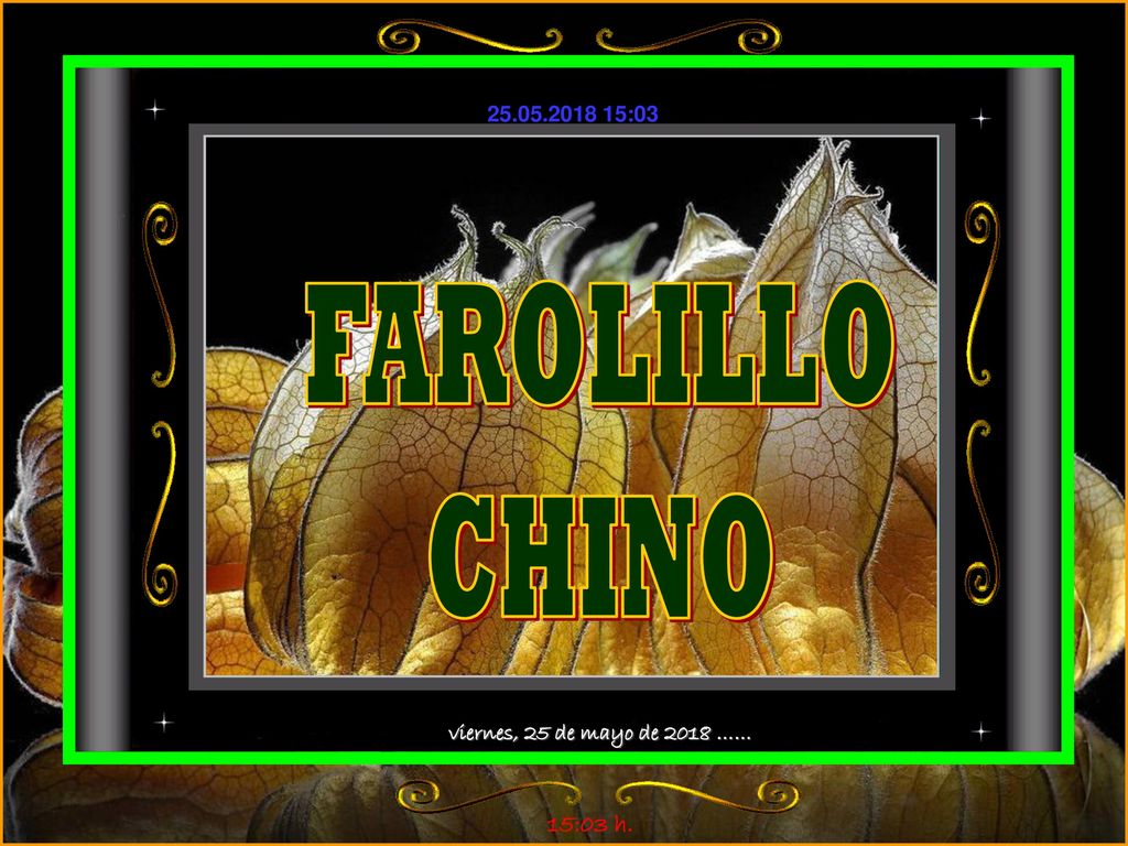 FAROLILLO CHINO viernes, 25 de mayo de 2018 …… 15:02 h.