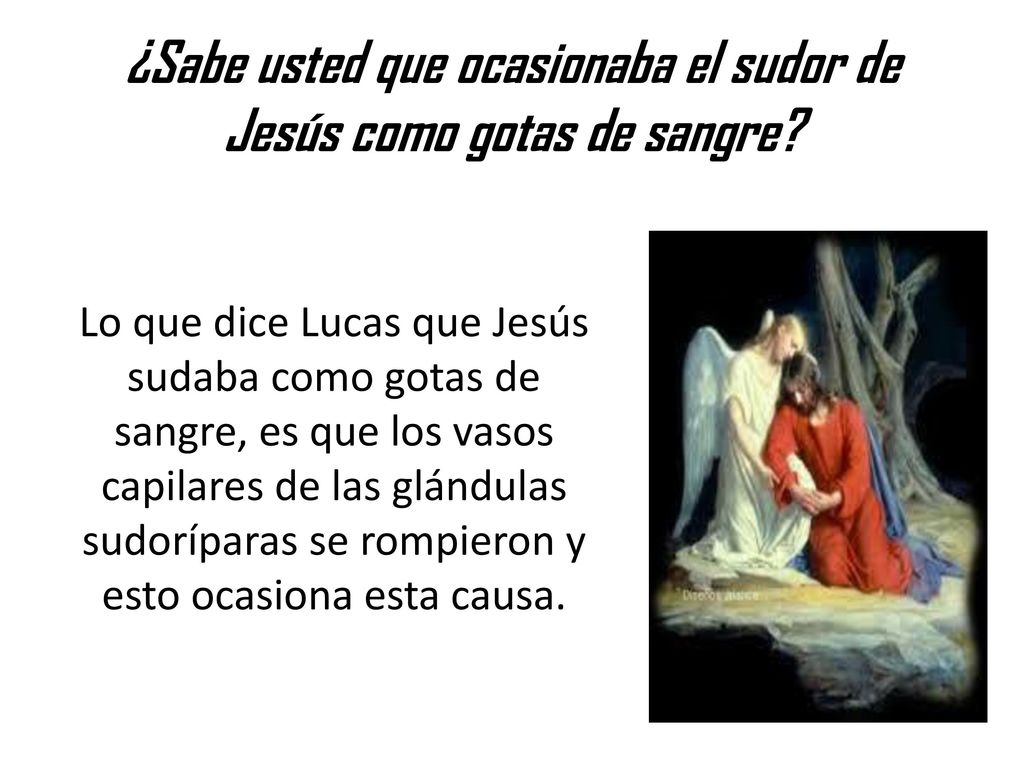 ¿Sabe usted que ocasionaba el sudor de Jesús como gotas de sangre