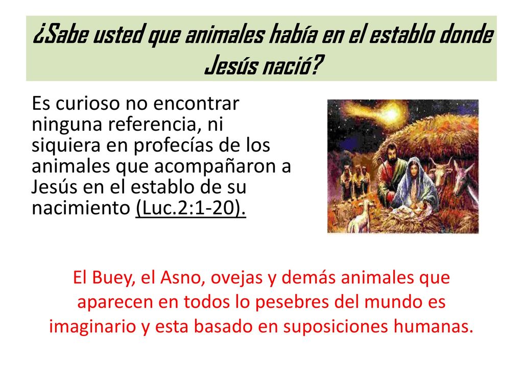 ¿Sabe usted que animales había en el establo donde Jesús nació