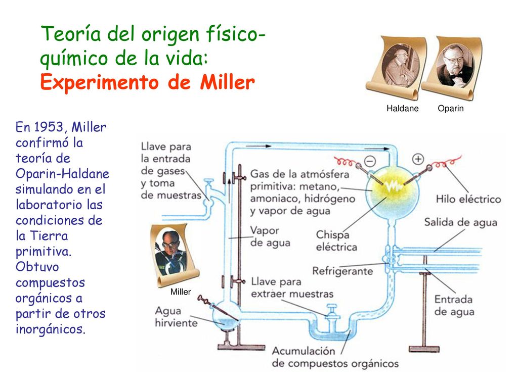 Teoría del origen físico-químico de la vida: Experimento de Miller