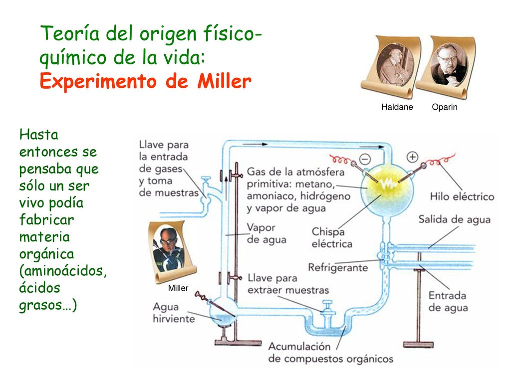 Teoría del origen físico-químico de la vida: Experimento de Miller