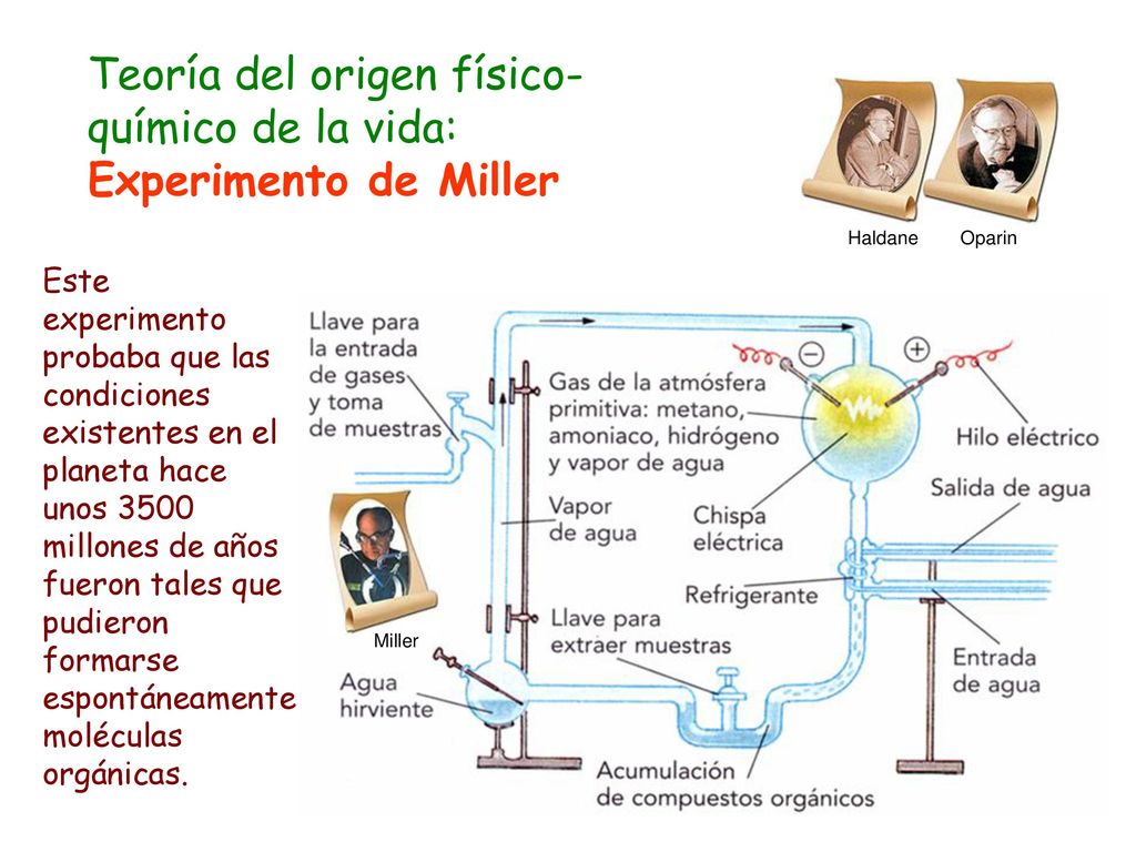 Teoría del origen físico-químico de la vida: Experimento de Miller