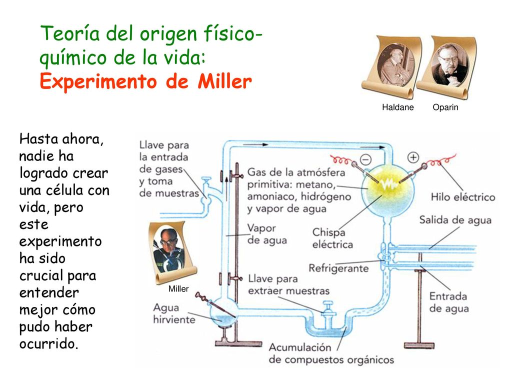 Teoría del origen físico-químico de la vida: Experimento de Miller