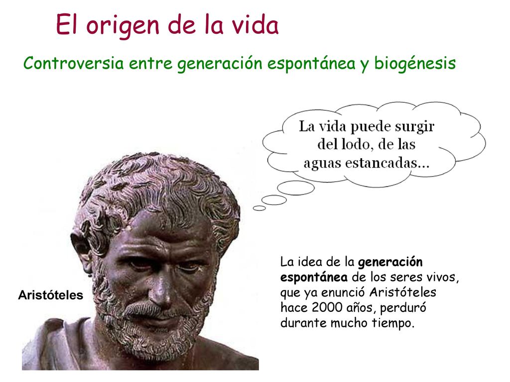 El origen de la vida Controversia entre generación espontánea y biogénesis.