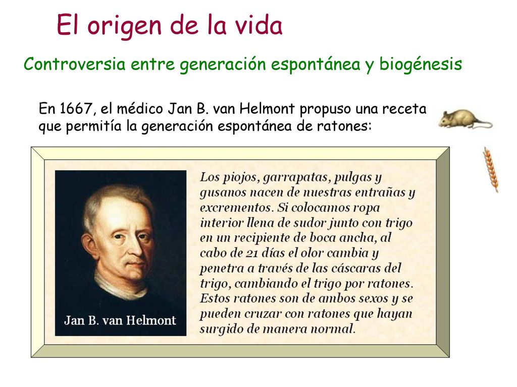El origen de la vida Controversia entre generación espontánea y biogénesis.