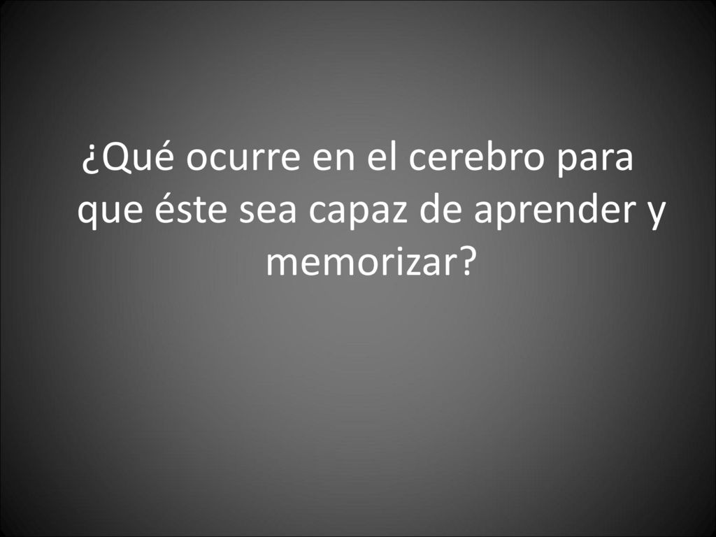 ¿Qué ocurre en el cerebro para que éste sea capaz de aprender y memorizar