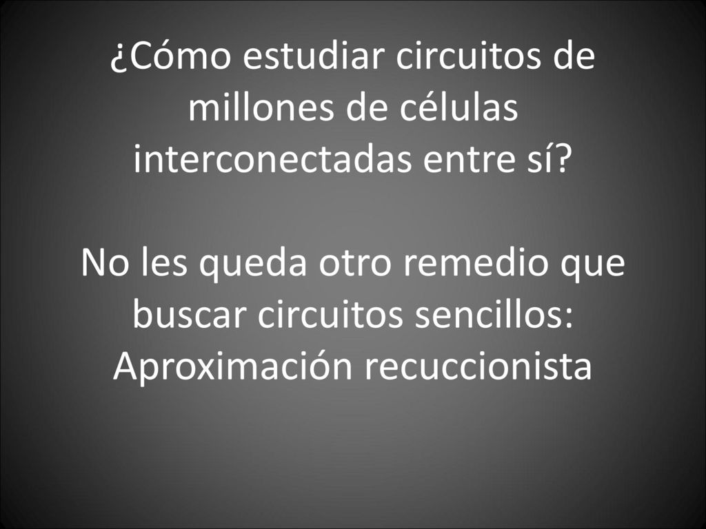 ¿Cómo estudiar circuitos de millones de células interconectadas entre sí.