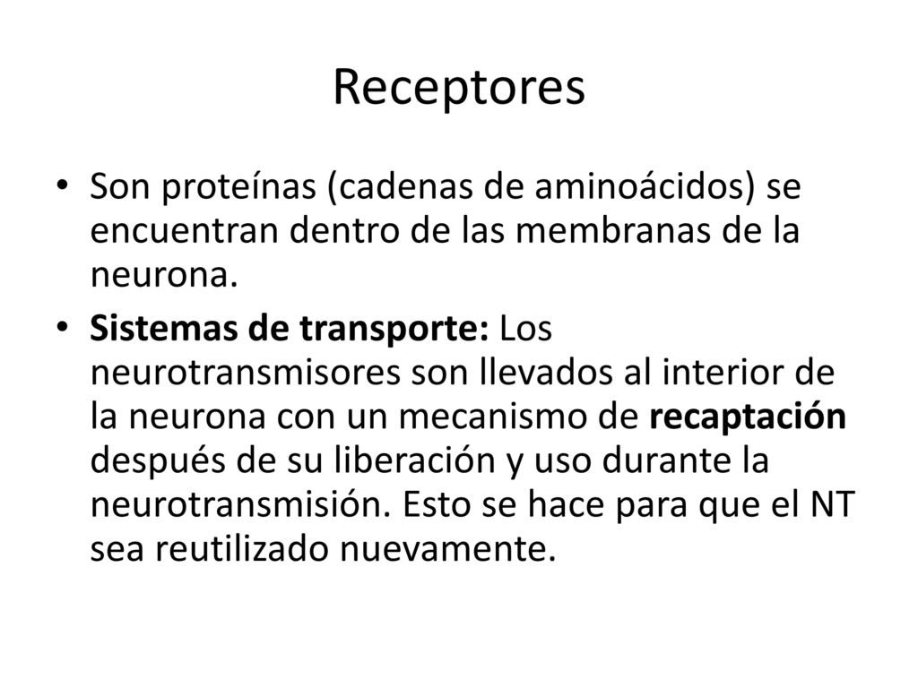 Receptores Son proteínas (cadenas de aminoácidos) se encuentran dentro de las membranas de la neurona.