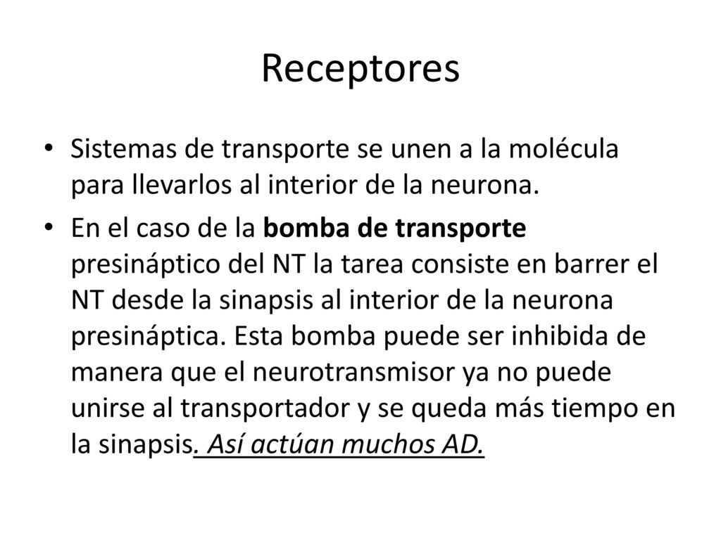 Receptores Sistemas de transporte se unen a la molécula para llevarlos al interior de la neurona.