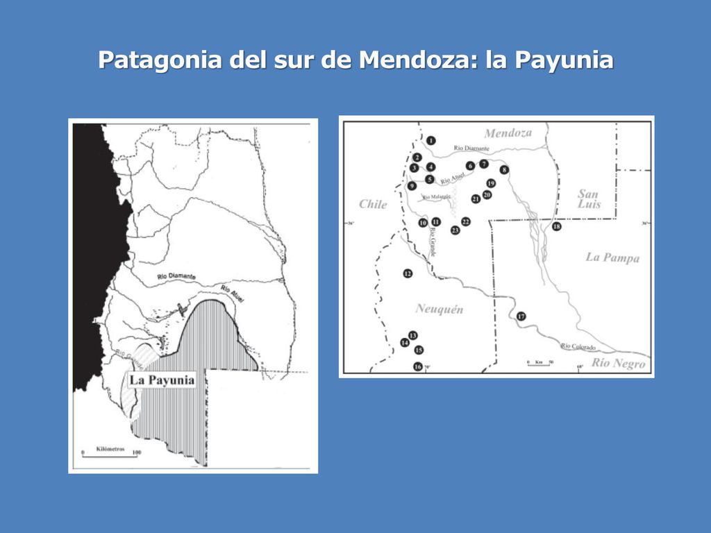 Patagonia del sur de Mendoza: la Payunia