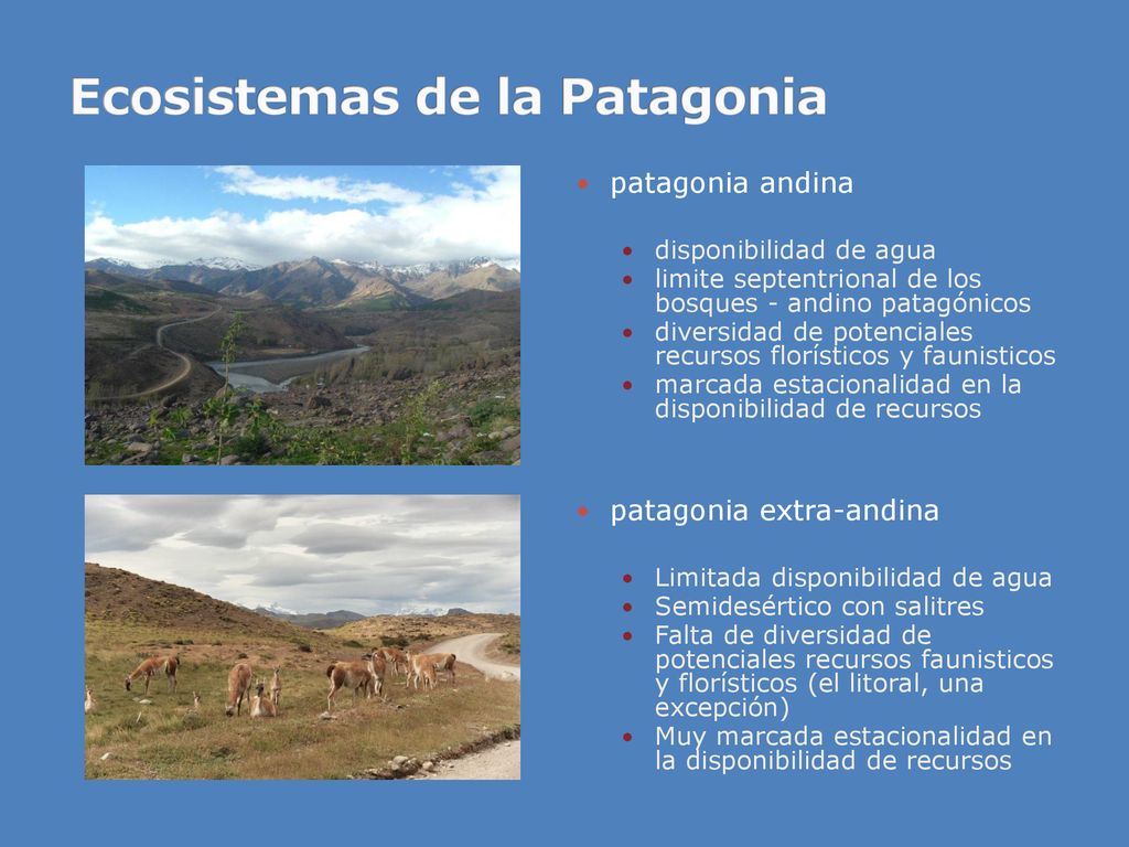 Ecosistemas de la Patagonia