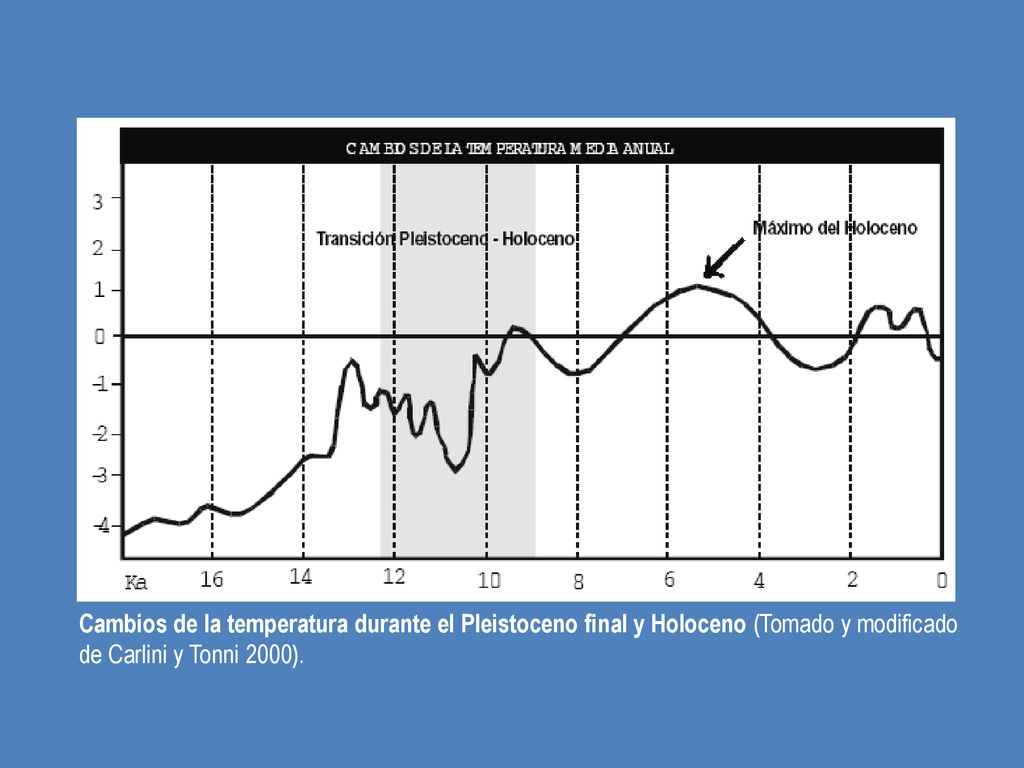 Cambios de la temperatura durante el Pleistoceno final y Holoceno (Tomado y modificado de Carlini y Tonni 2000).