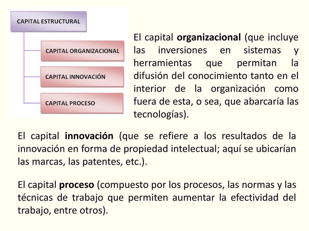 El capital organizacional (que incluye las inversiones en sistemas y herramientas que permitan la difusión del conocimiento tanto en el interior de la organización como fuera de esta, o sea, que abarcaría las tecnologías).