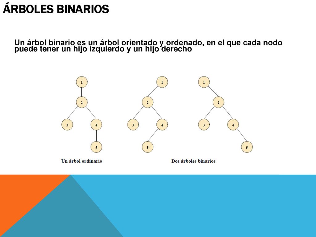 Árboles binarios Un árbol binario es un árbol orientado y ordenado, en el que cada nodo puede tener un hijo izquierdo y un hijo derecho.