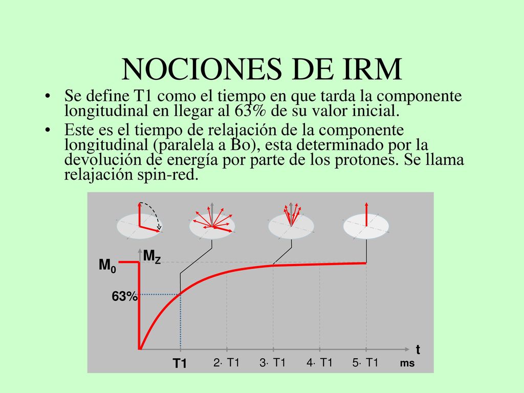 NOCIONES DE IRM Se define T1 como el tiempo en que tarda la componente longitudinal en llegar al 63% de su valor inicial.