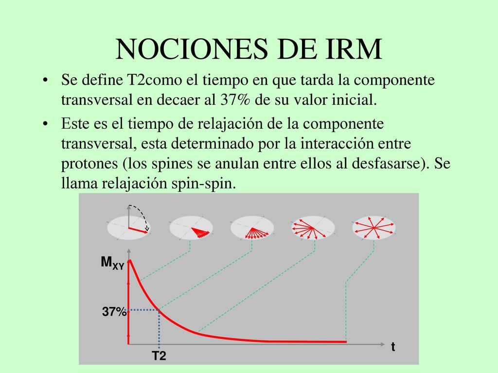 NOCIONES DE IRM Se define T2como el tiempo en que tarda la componente transversal en decaer al 37% de su valor inicial.