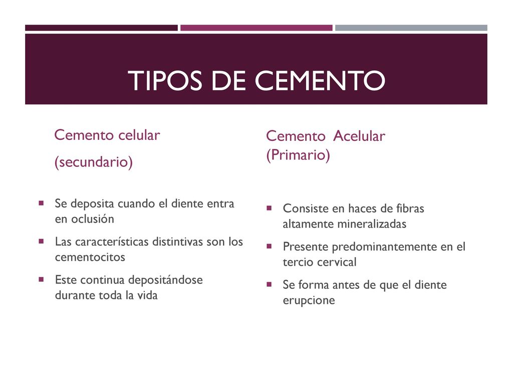 TIPOS DE CEMENTO Cemento Acelular (Primario) Cemento celular