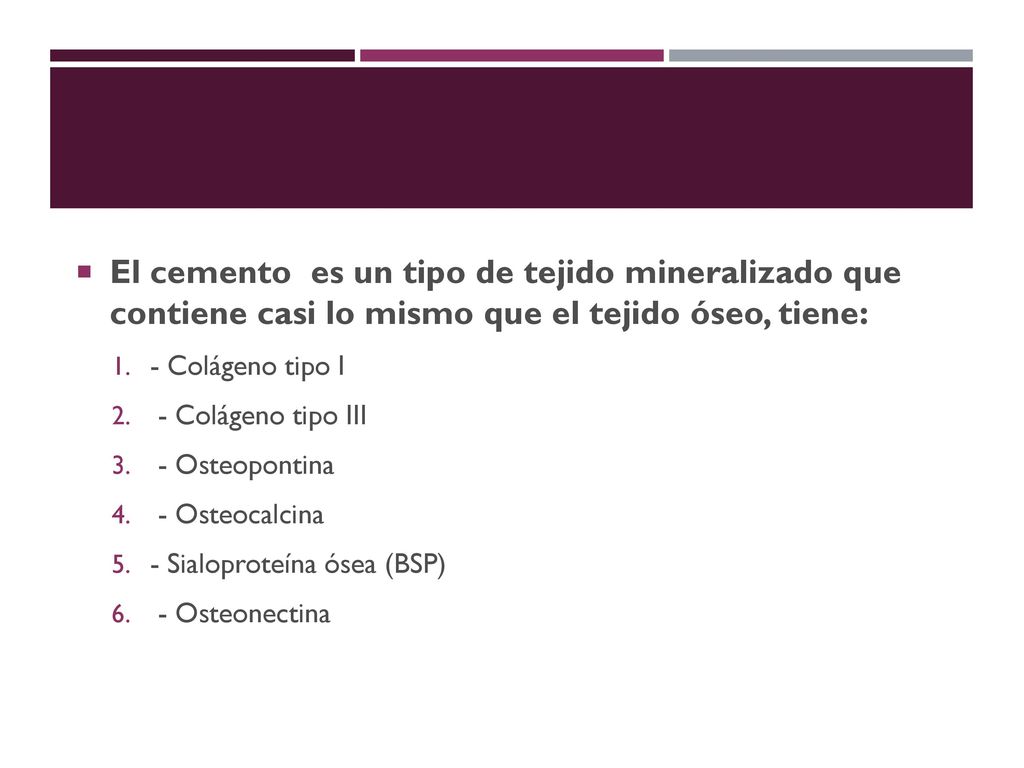 El cemento es un tipo de tejido mineralizado que contiene casi lo mismo que el tejido óseo, tiene: