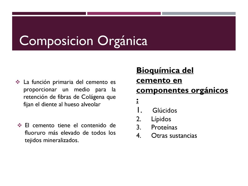 Composicion Orgánica Bioquímica del cemento en componentes orgánicos :