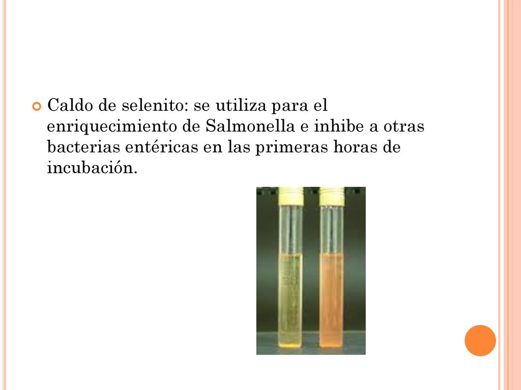 Caldo de selenito: se utiliza para el enriquecimiento de Salmonella e inhibe a otras bacterias entéricas en las primeras horas de incubación.