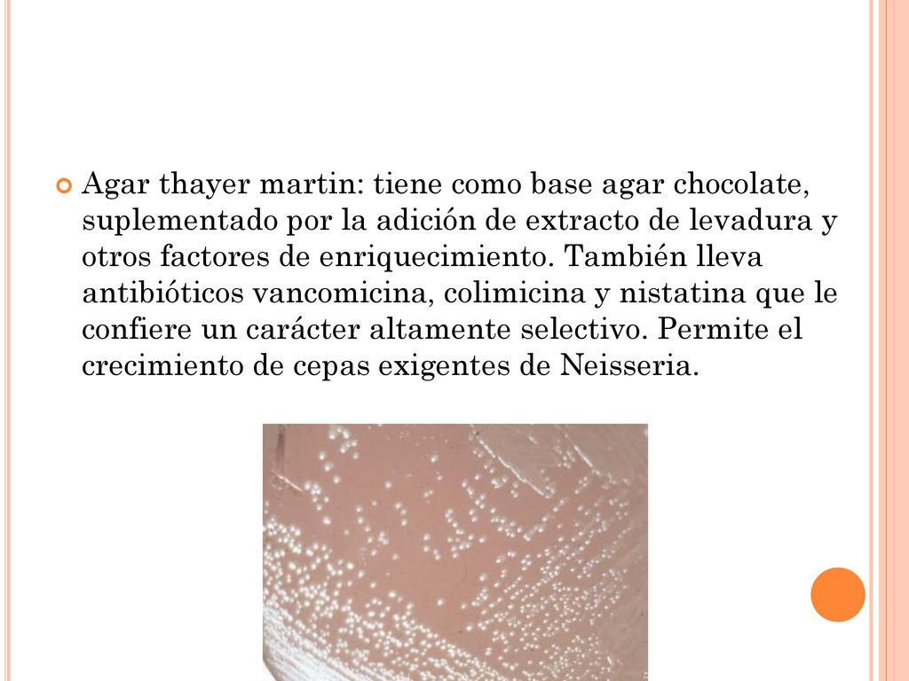 Agar thayer martin: tiene como base agar chocolate, suplementado por la adición de extracto de levadura y otros factores de enriquecimiento.