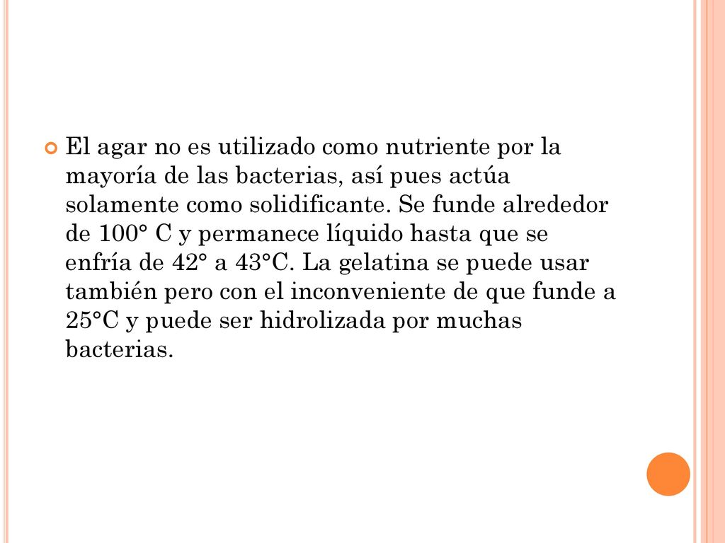El agar no es utilizado como nutriente por la mayoría de las bacterias, así pues actúa solamente como solidificante.