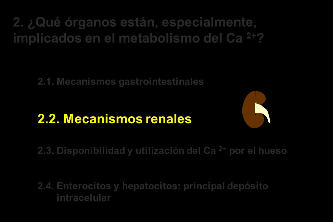 2. ¿Qué órganos están, especialmente, implicados en el metabolismo del Ca 2+