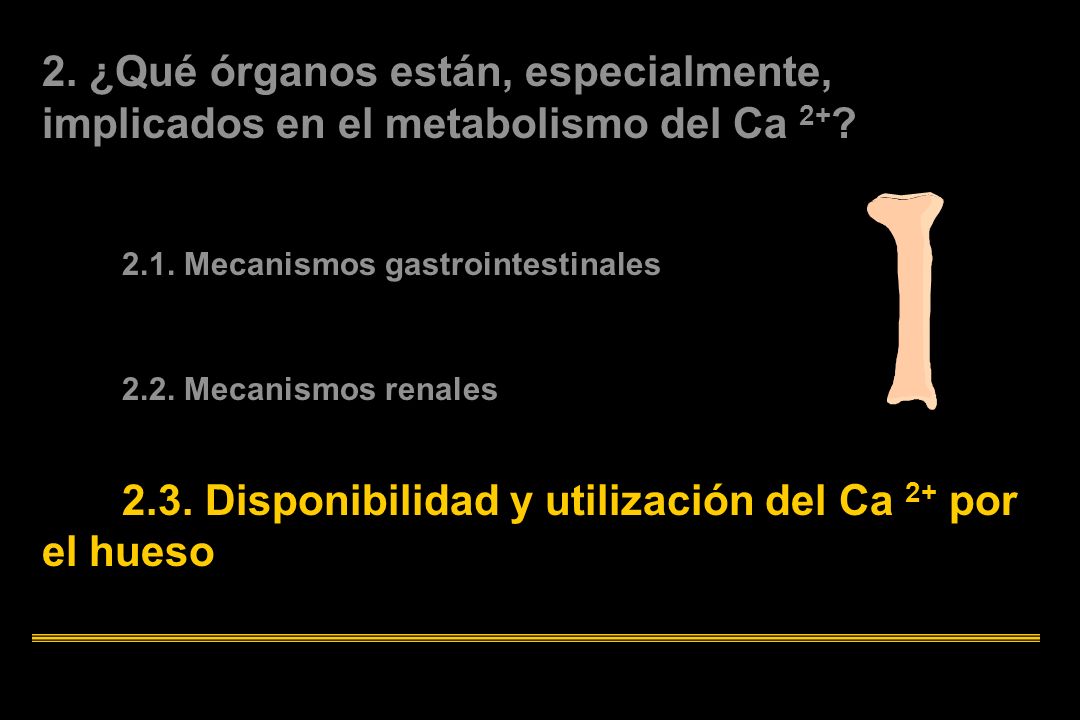 2. ¿Qué órganos están, especialmente, implicados en el metabolismo del Ca 2+