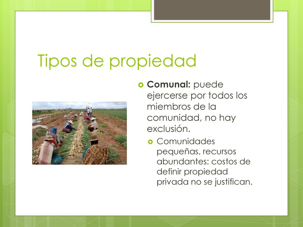 Tipos de propiedad Comunal: puede ejercerse por todos los miembros de la comunidad, no hay exclusión.
