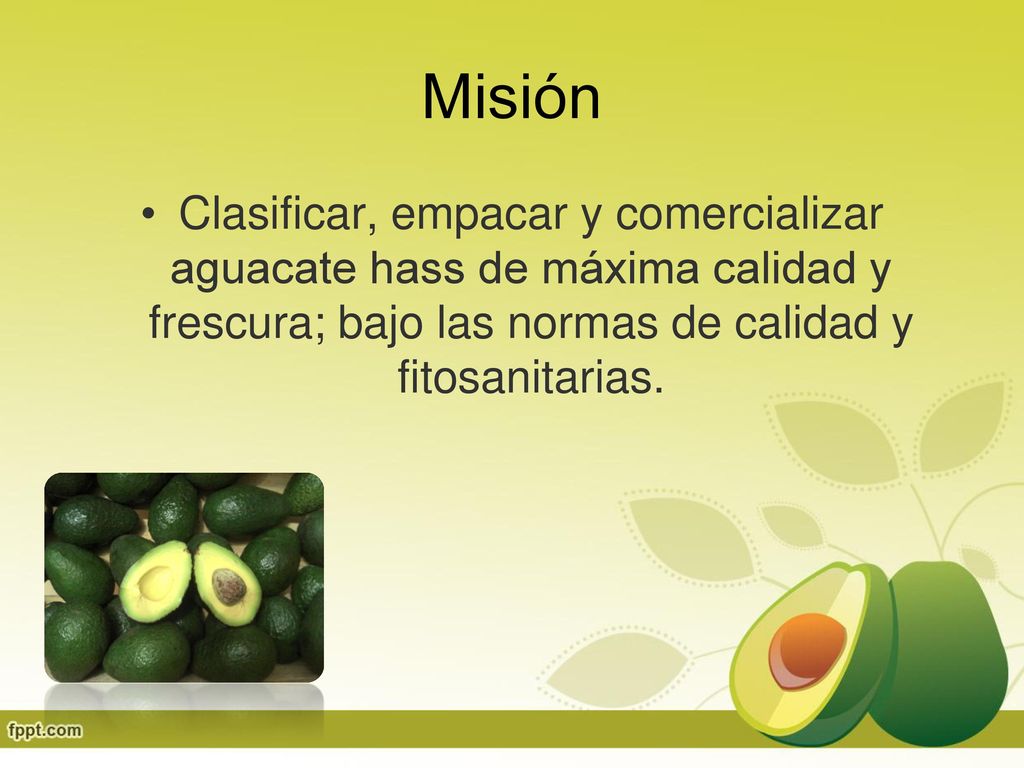Misión Clasificar, empacar y comercializar aguacate hass de máxima calidad y frescura; bajo las normas de calidad y fitosanitarias.