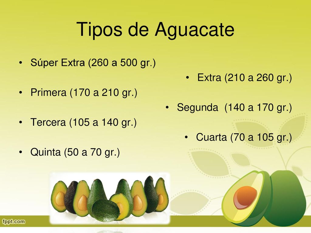Tipos de Aguacate Súper Extra (260 a 500 gr.) Extra (210 a 260 gr.)