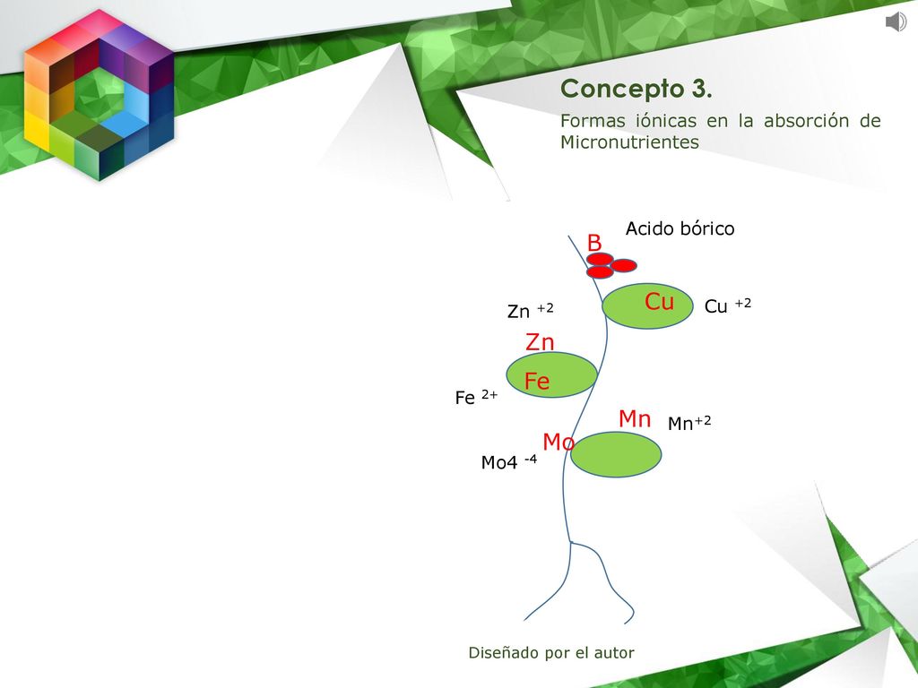 Concepto 3. Formas iónicas en la absorción de Micronutrientes. Acido bórico. B. Cu. Zn +2. Cu +2.