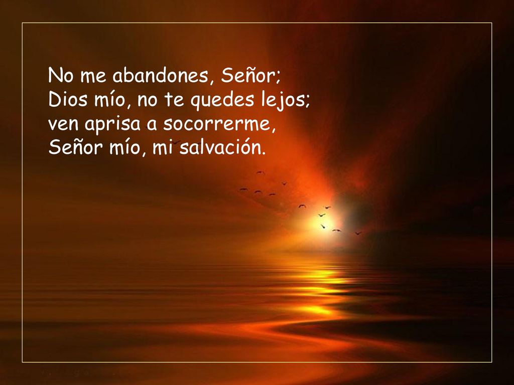 No me abandones, Señor; Dios mío, no te quedes lejos; ven aprisa a socorrerme, Señor mío, mi salvación.