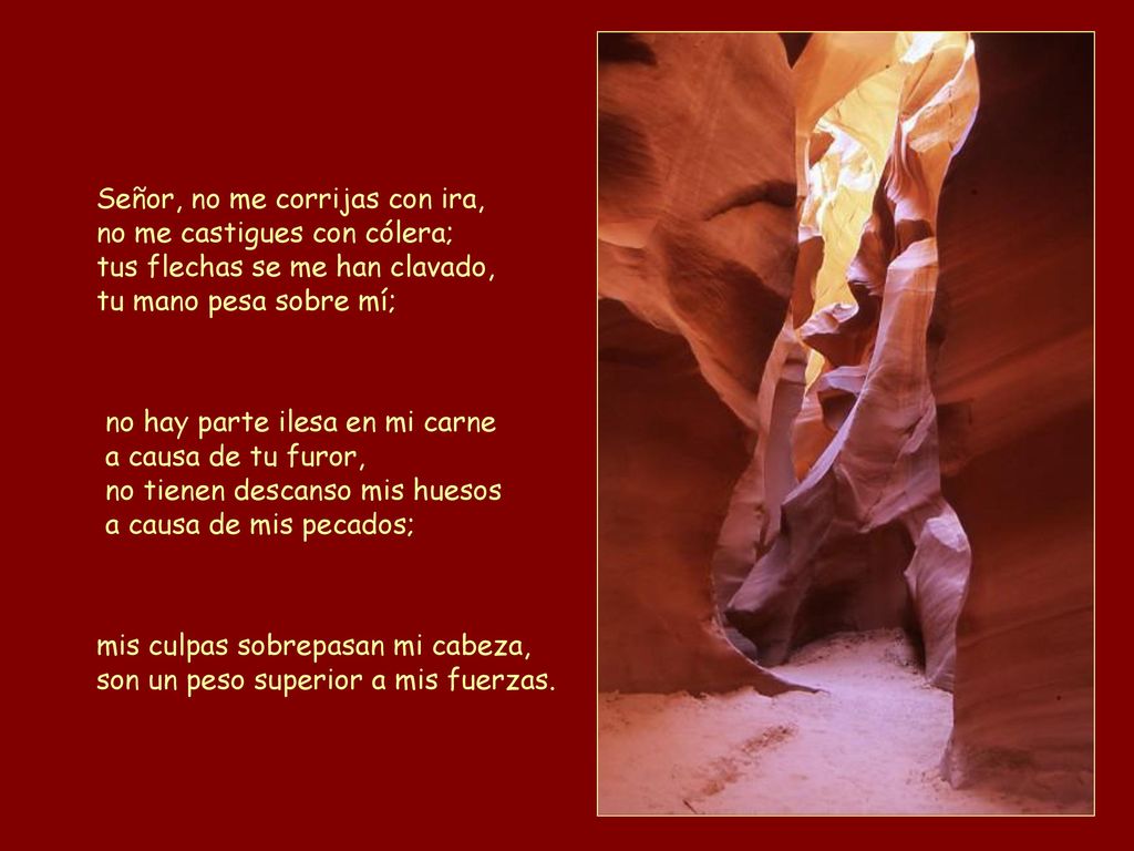 Señor, no me corrijas con ira, no me castigues con cólera; tus flechas se me han clavado, tu mano pesa sobre mí;
