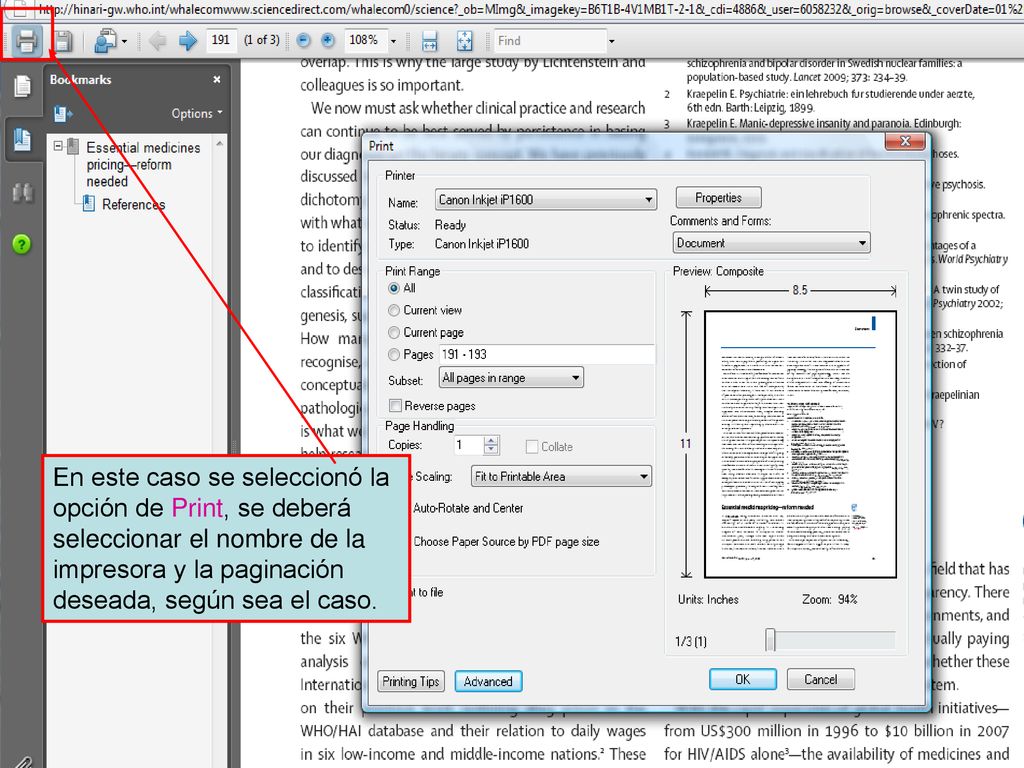 En este caso se seleccionó la opción de Print, se deberá seleccionar el nombre de la impresora y la paginación deseada, según sea el caso.