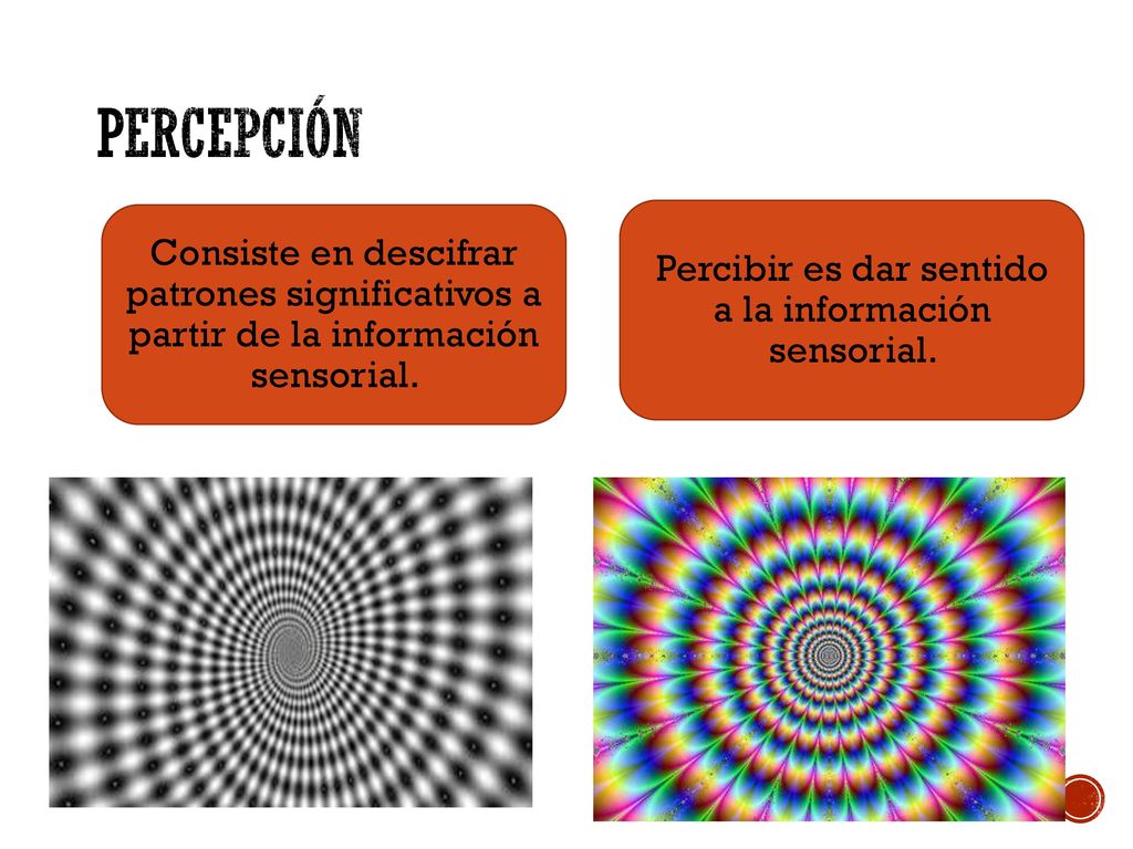 Percibir es dar sentido a la información sensorial.